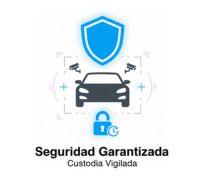 custodia de automóvil en prenda 2